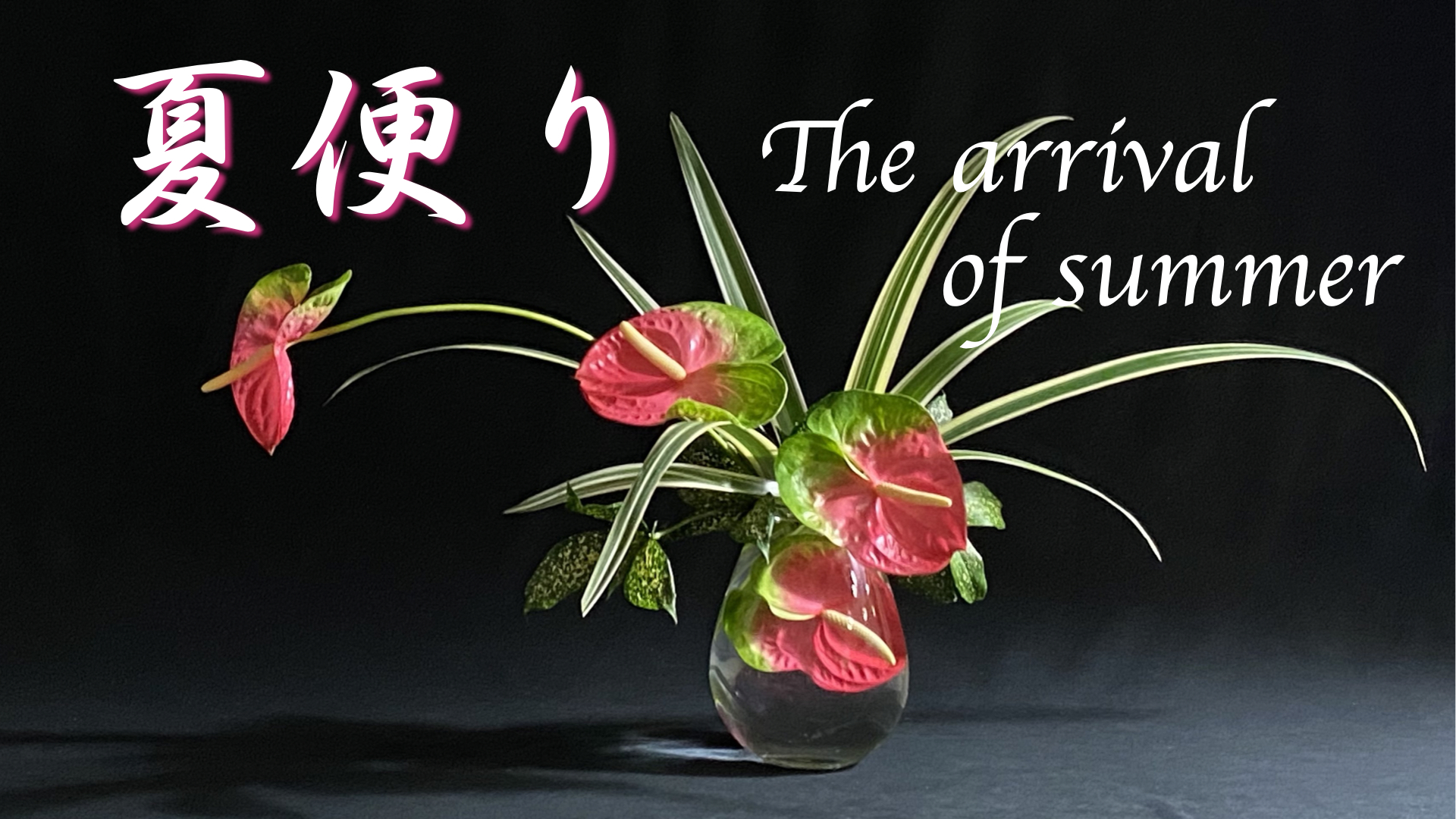 生け花 自由花の表現法の１つ 水中花 を用いて夏の訪れを涼しげに表現してみました Ikebana いけばな 古流かたばみ会