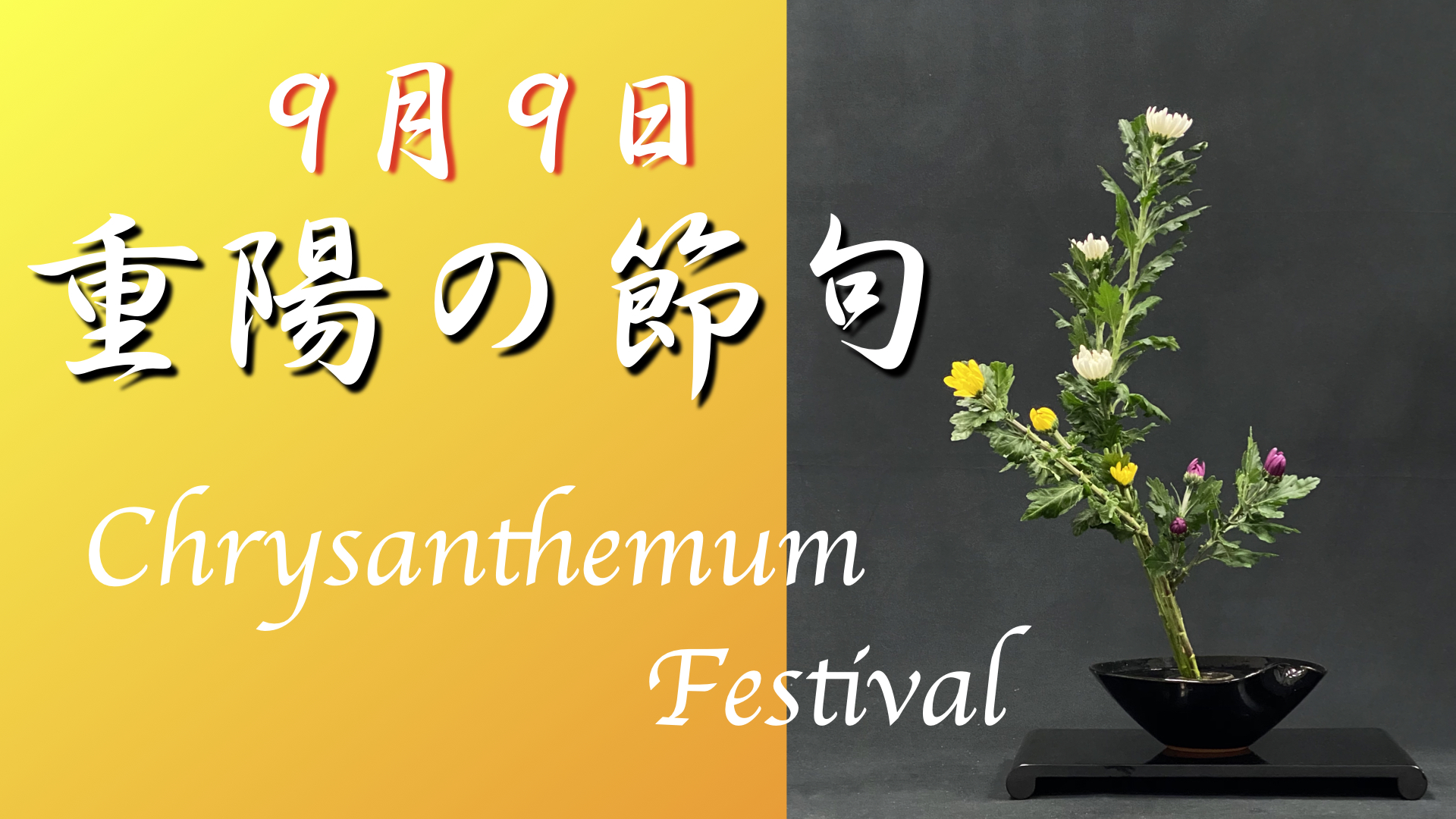 生け花 古流伝統の 重陽の菊 の生け方 無病息災を祈って 重陽の節句 いけばな 古流かたばみ会